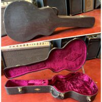 Taylor Concert Size acoustic case 16”x5”x42” - $135