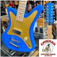 Goldfinch Painted Lady 12 string w/gig bag - $720
