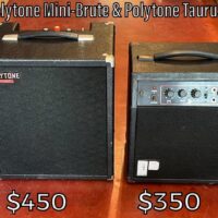Polytone Mini-Brute - $450 & Polytone Taurus - $350