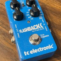 TC Electronic Flashback delay/looper w/box - $85