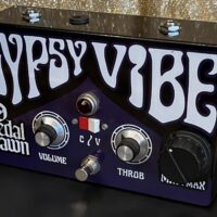 Pedal Pawn Gypsy Vibe V.1 vibrato/chorus w/box - $350
