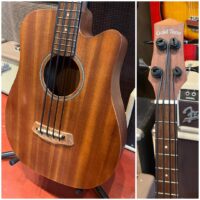 Gold Tone Micro Bass w/gig bag - $395