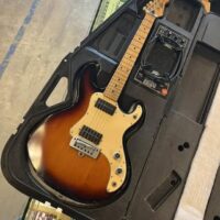1982 Peavey T-15 w/amp case - $650