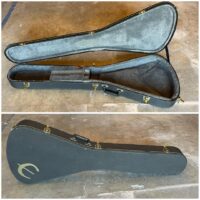 Epiphone Flying V case - $100