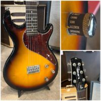 Line 6 Variax 500 w/gig bag - $350