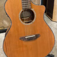 Breedlove Pursuit Concert w/ohsc - $450