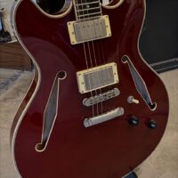 D’Angelico Excel DC-Tour w/gig bag - $425