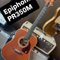 Epiphone PR350M w/hsc - $195