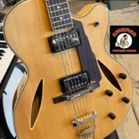 Cort Joe Beck CF-1 w/gig bag - $595